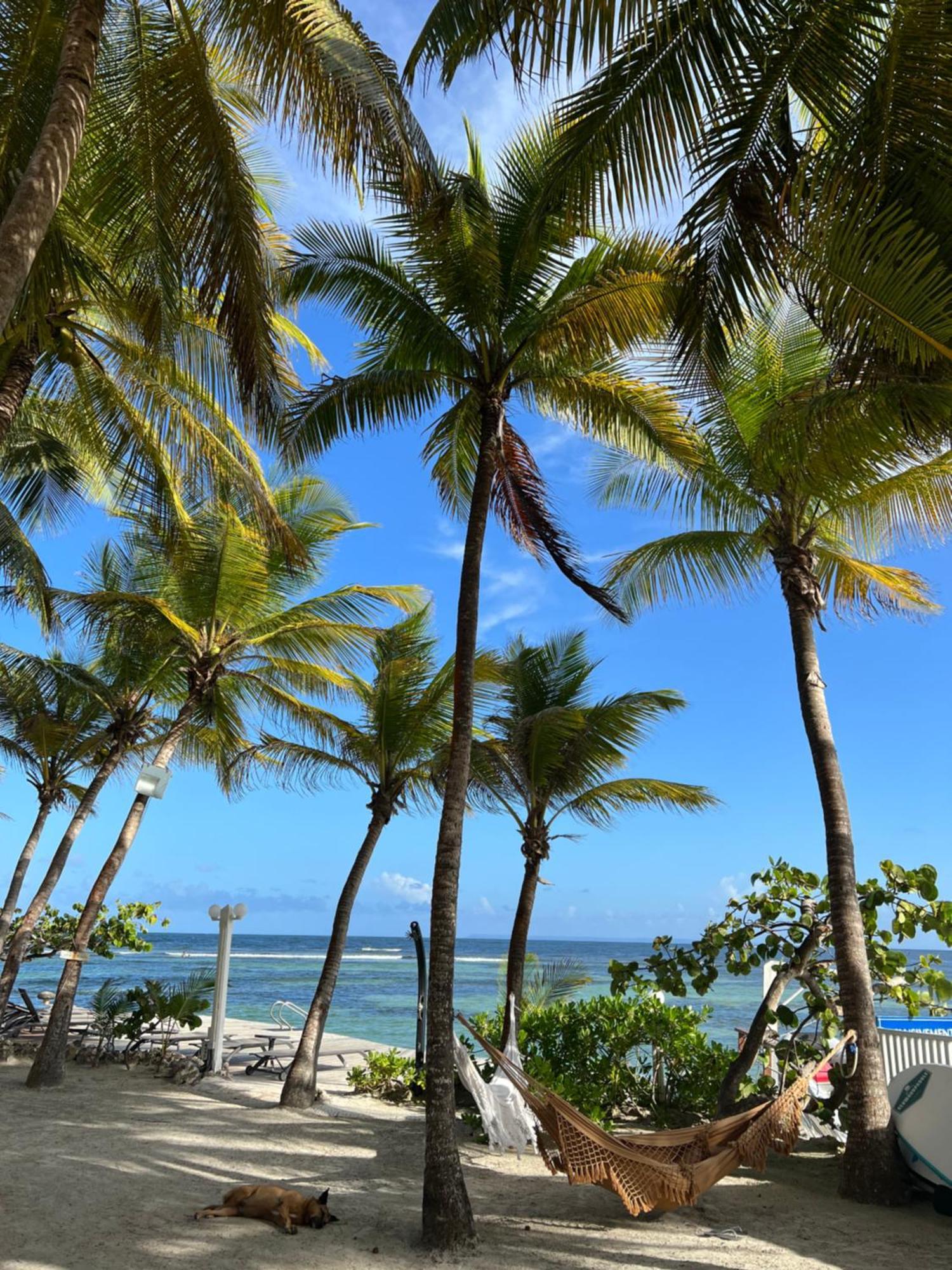 Guadeloupe- Saint-Francois- Residence Anse Des Rochers - Appartement Quart De Villa Etage - Vue Mer- 4 Personnes - Lit Bebe Sur Demande - Citerne Et Wifi Prives -Animaux Ok-Acces Plage Direct -Apnee Bien-Etre Experience Sur Demande Avec Instructeur A 外观 照片