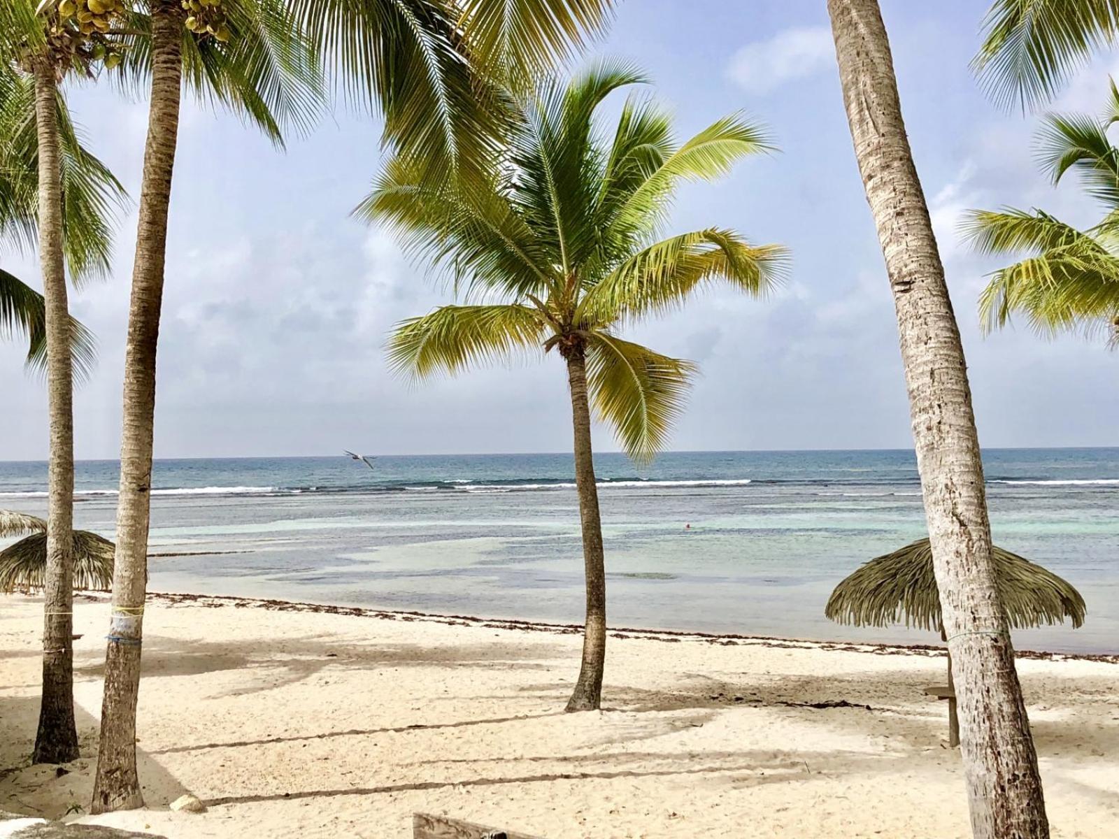 Guadeloupe- Saint-Francois- Residence Anse Des Rochers - Appartement Quart De Villa Etage - Vue Mer- 4 Personnes - Lit Bebe Sur Demande - Citerne Et Wifi Prives -Animaux Ok-Acces Plage Direct -Apnee Bien-Etre Experience Sur Demande Avec Instructeur A 外观 照片